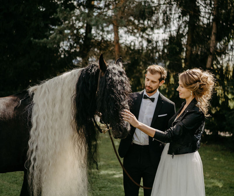 Shoot Rock Wedding