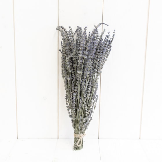 Dry_Flowers_Lavendel (1)
